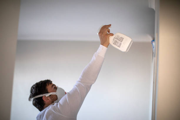 Best Post-Remediation Services in Mascotte, FL