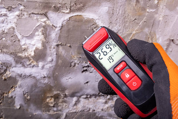 Mascotte, FL Mold Remediation Company
